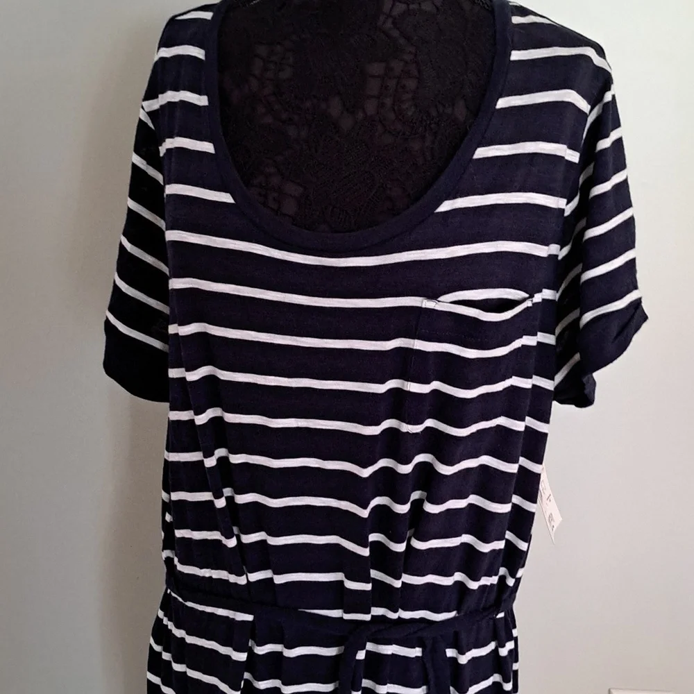 Basic Editions - Picture 8 of 9